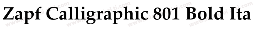 Zapf Calligraphic 801 Bold Italic BT字体转换